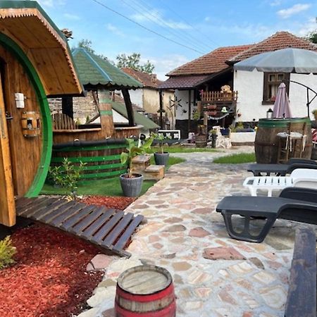 Vila Milica & Spa Aleksandra Dimitrovgrad Exteriér fotografie