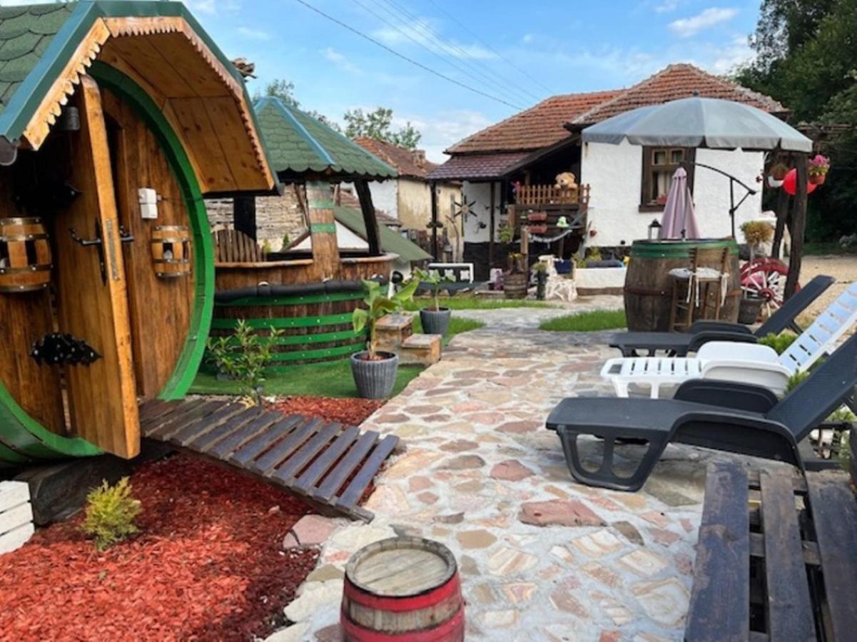 Vila Milica & Spa Aleksandra Dimitrovgrad Exteriér fotografie