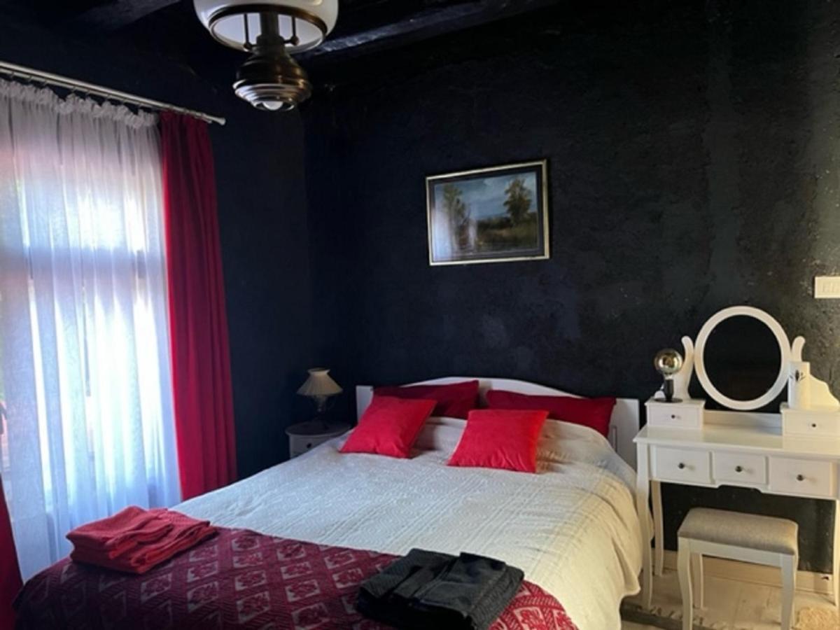Vila Milica & Spa Aleksandra Dimitrovgrad Exteriér fotografie
