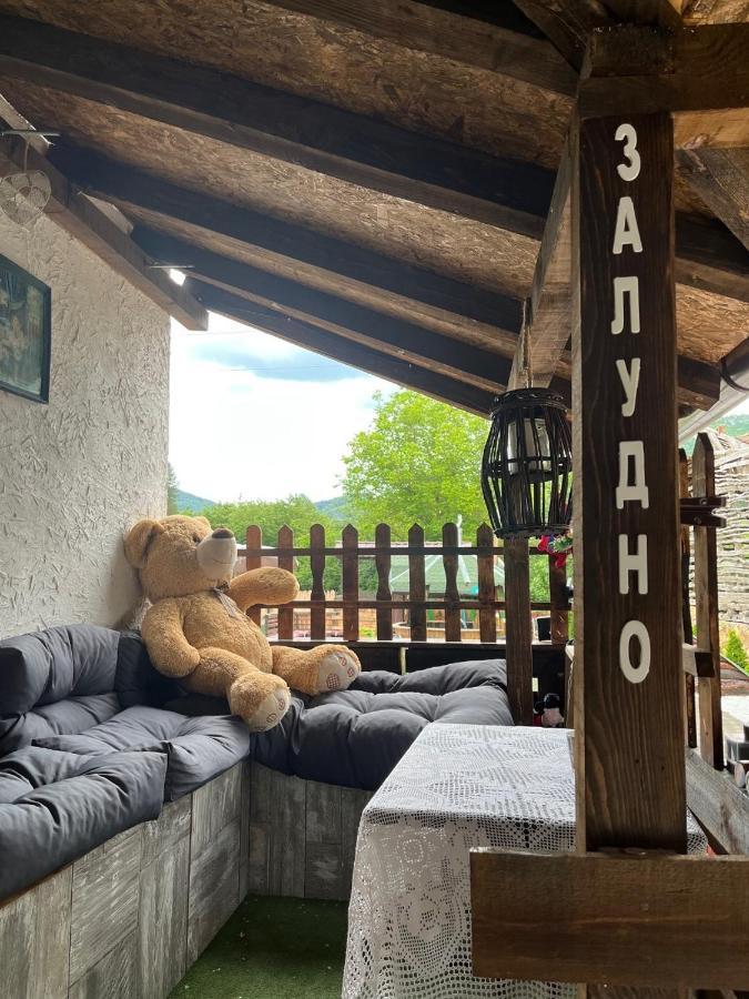 Vila Milica & Spa Aleksandra Dimitrovgrad Exteriér fotografie
